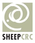 CRC for Sheep Industry Innovation Logo